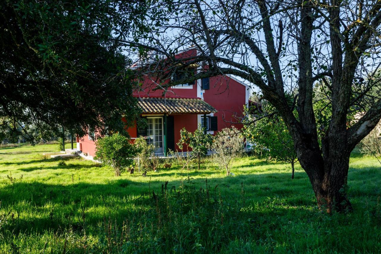Fridas Place Halikounas Exteriér fotografie